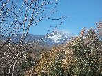ntrada Ilice-20091230 043